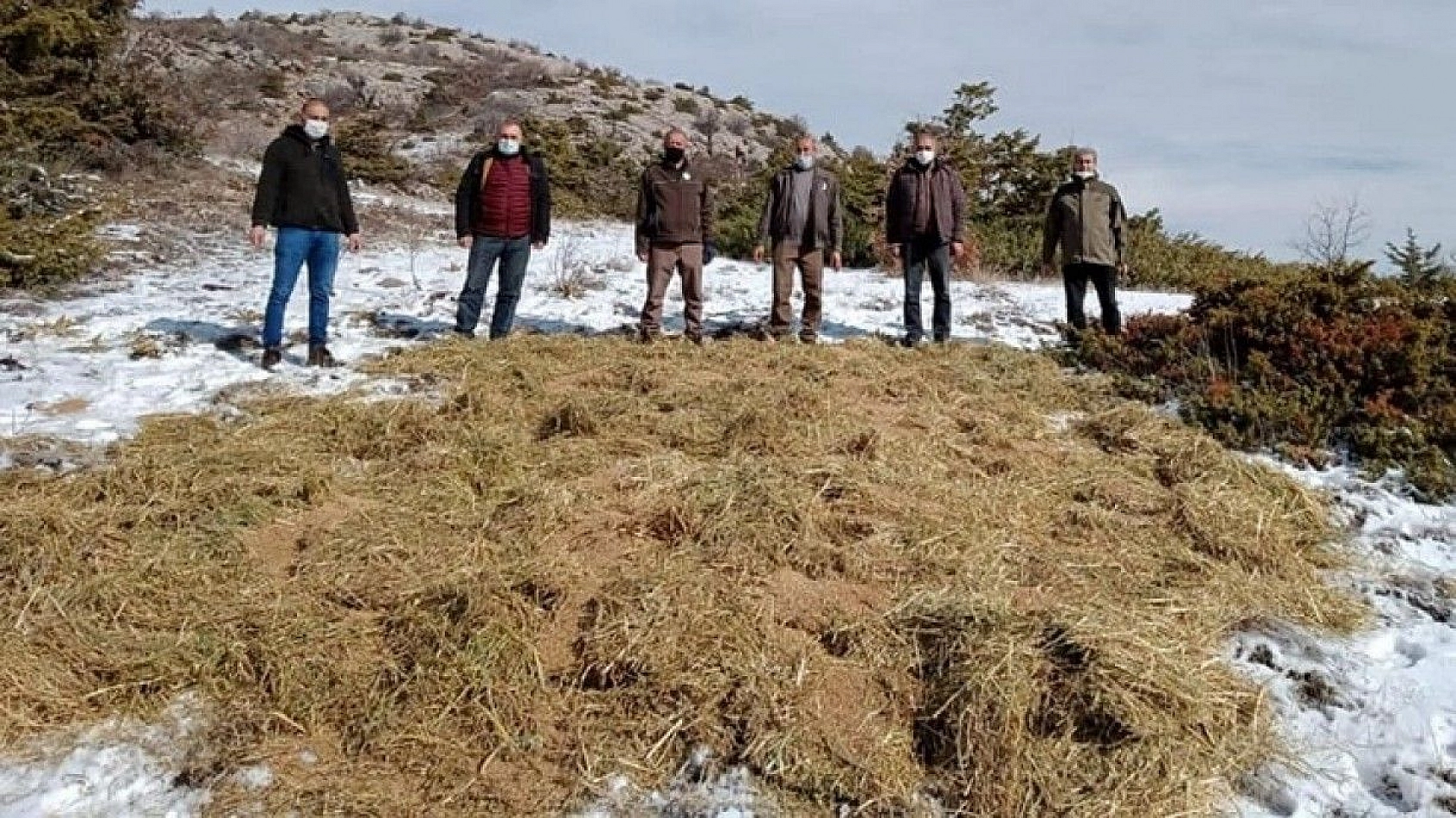 Doğaya bırakılan yemleri yiyen yaban keçileri ve kuşlar görüntülendi