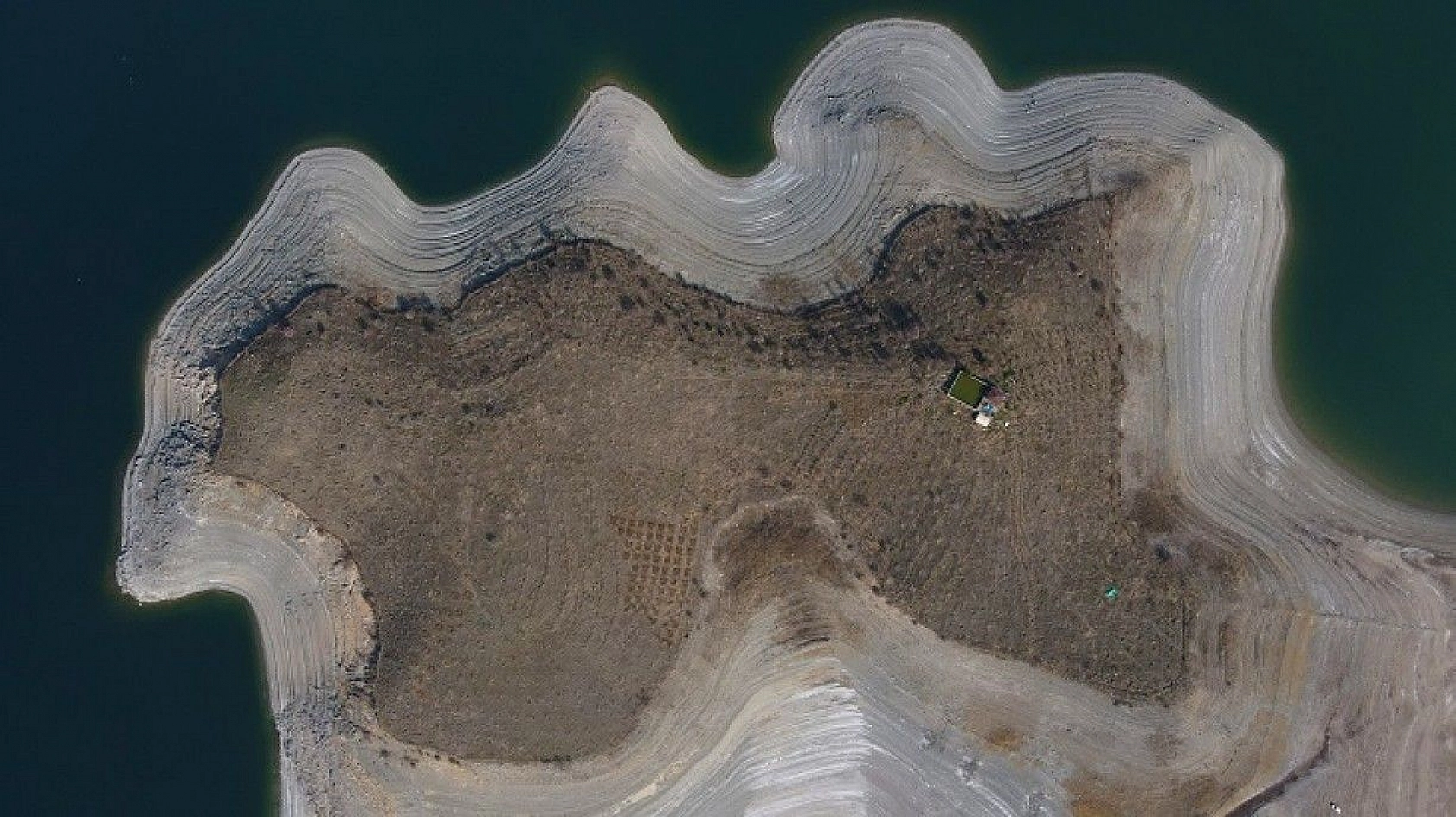 Adada çiçekler açtı