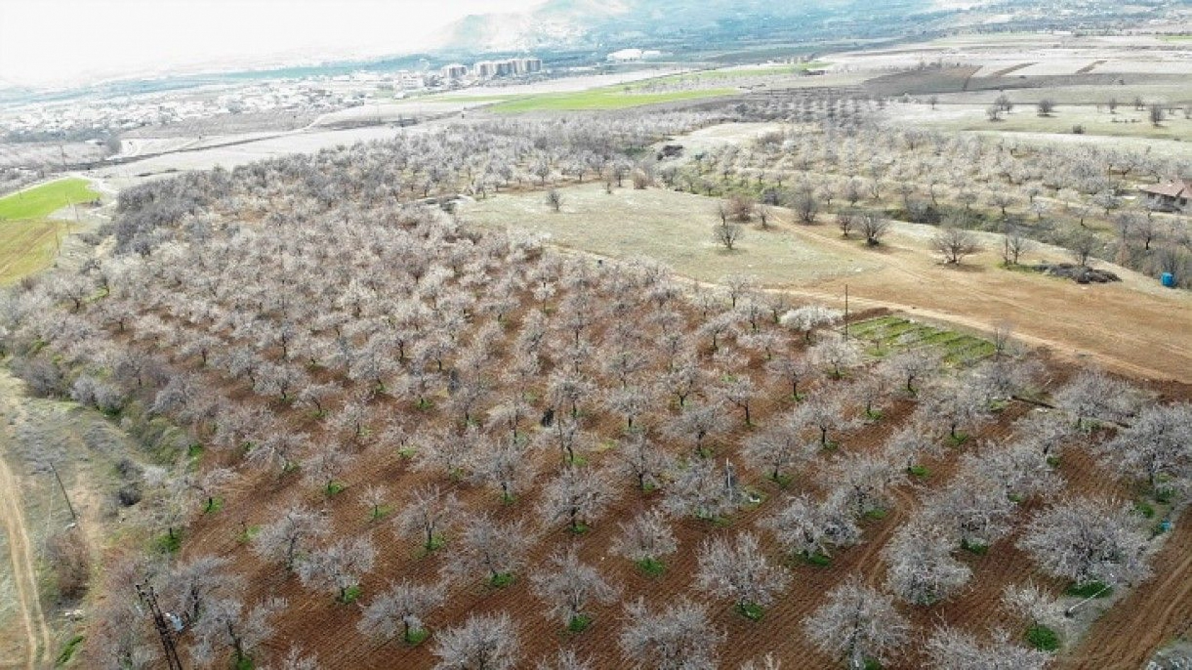 Elazığ'da ağaçlar beyaz gelinliğini giydi, muhteşem görüntü ortaya çıktı