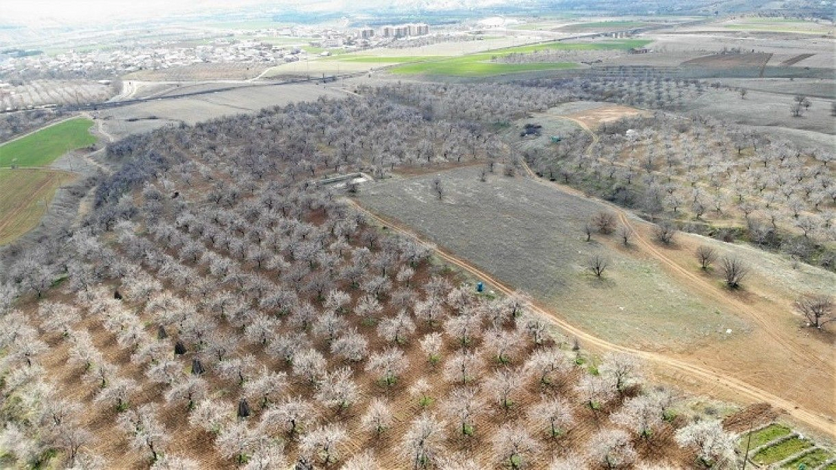 Elazığ'da ağaçlar beyaz gelinliğini giydi, muhteşem görüntü ortaya çıktı