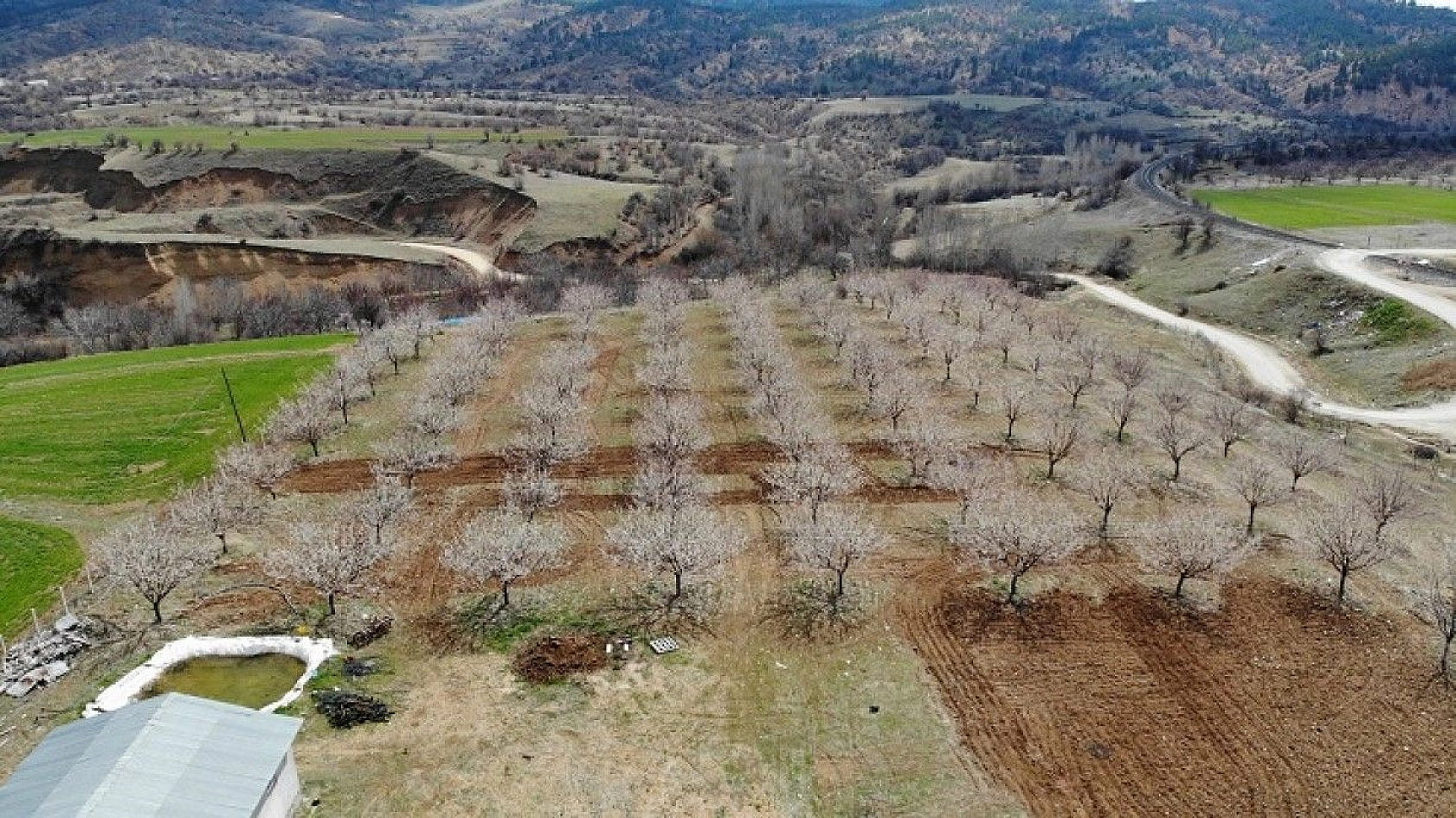 Elazığ'da ağaçlar beyaz gelinliğini giydi, muhteşem görüntü ortaya çıktı