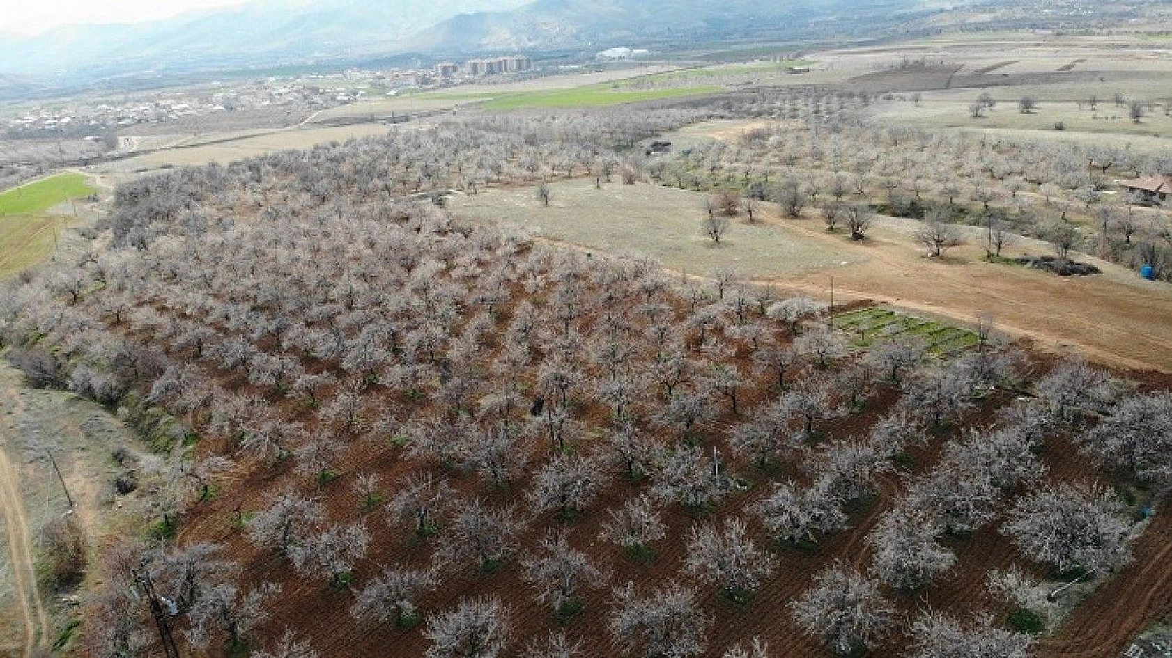 Elazığ'da ağaçlar beyaz gelinliğini giydi, muhteşem görüntü ortaya çıktı