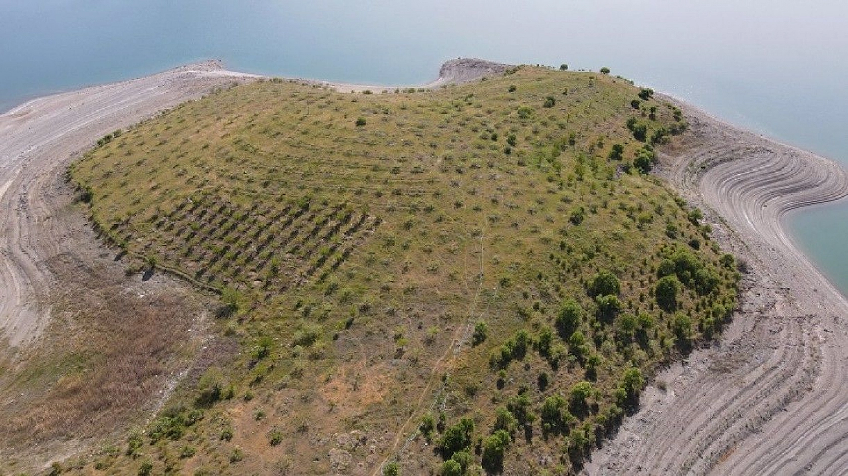 Robinson Ziya dedenin adası baharla birlikte yeşile büründü