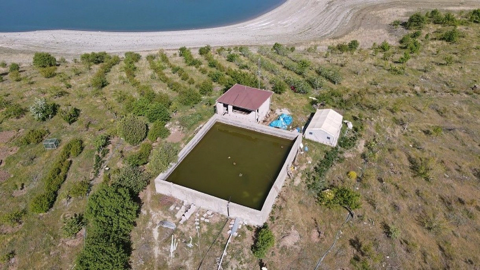 Robinson Ziya dedenin adası baharla birlikte yeşile büründü