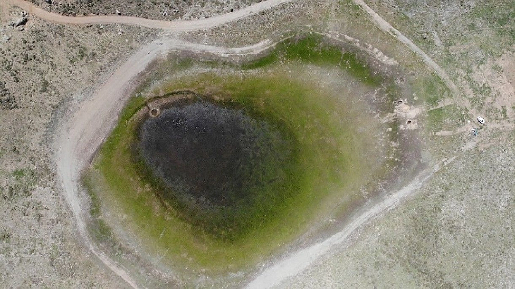 Elazığ'ın kalp gölü Bervi kurudu, hayvanlara otlak oldu