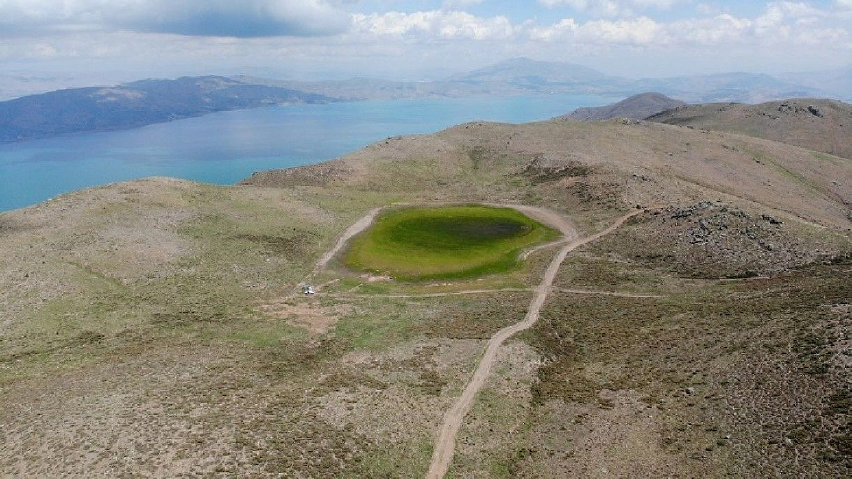 Elazığ'ın kalp gölü Bervi kurudu, hayvanlara otlak oldu