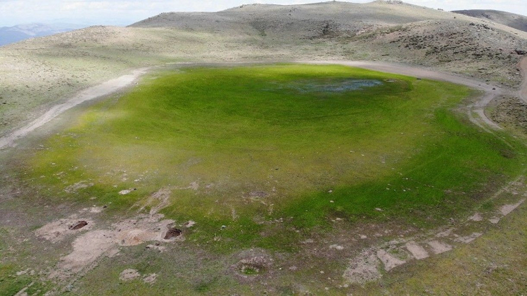 Elazığ'ın kalp gölü Bervi kurudu, hayvanlara otlak oldu