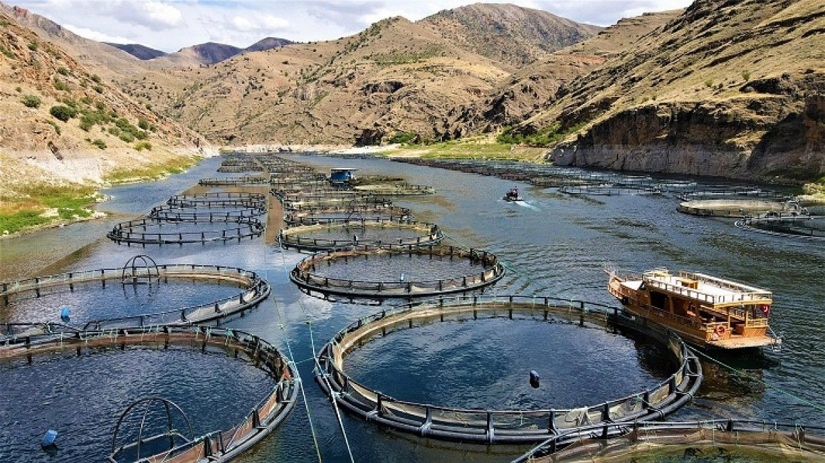 Türkiye'nin üretim merkezi Elazığ'dan dünyaya Türk Somonu