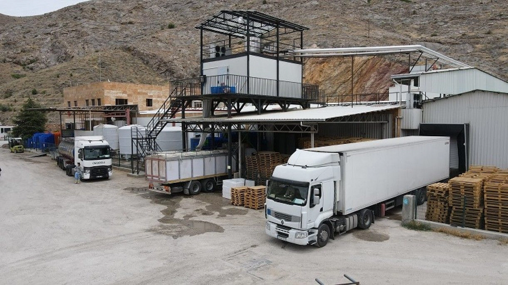 Türkiye'nin üretim merkezi Elazığ'dan dünyaya Türk Somonu