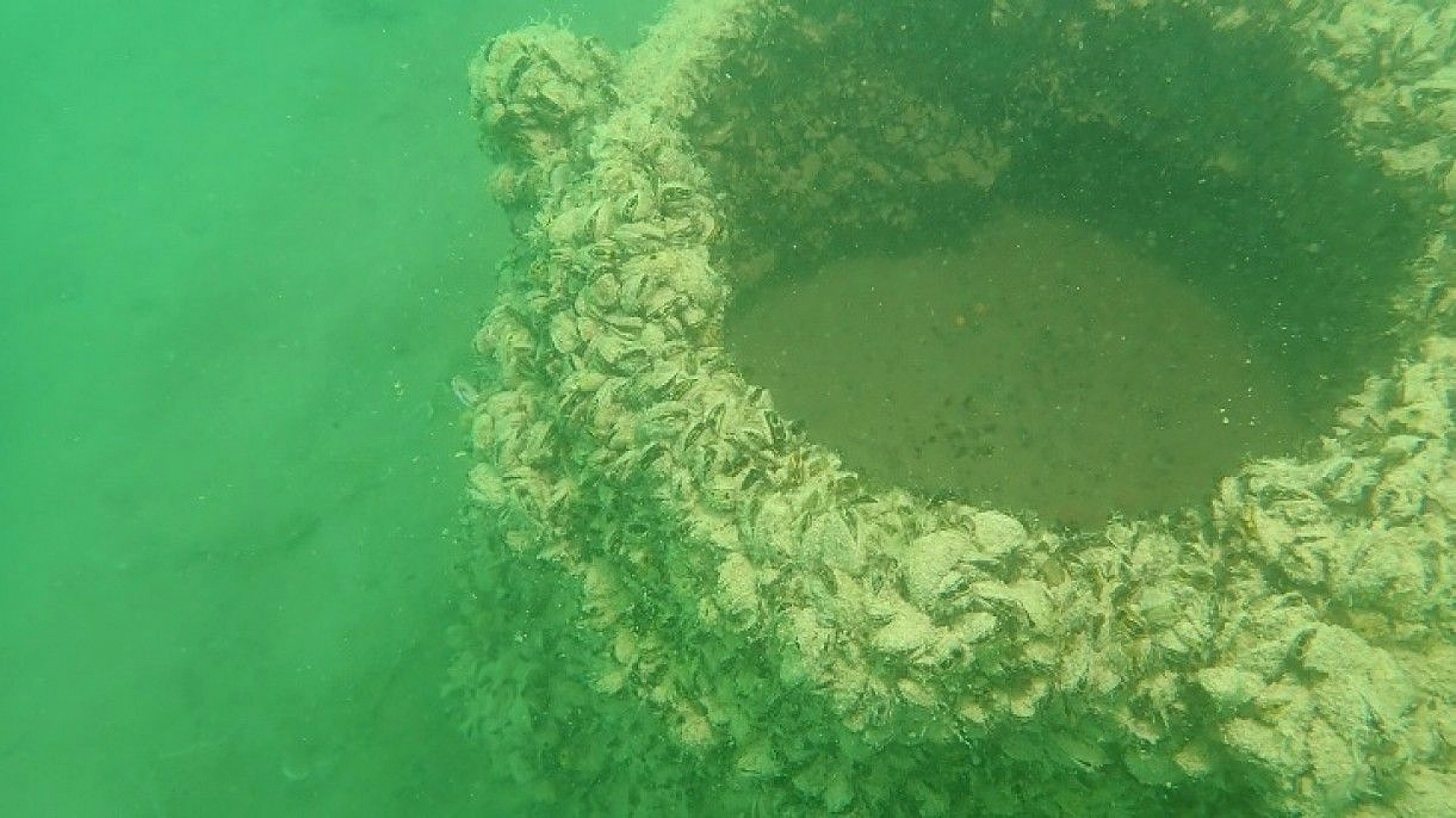 Yarımada konumundaki Elazığ, sualtı flora ve faunasıyla dikkat çekiyor