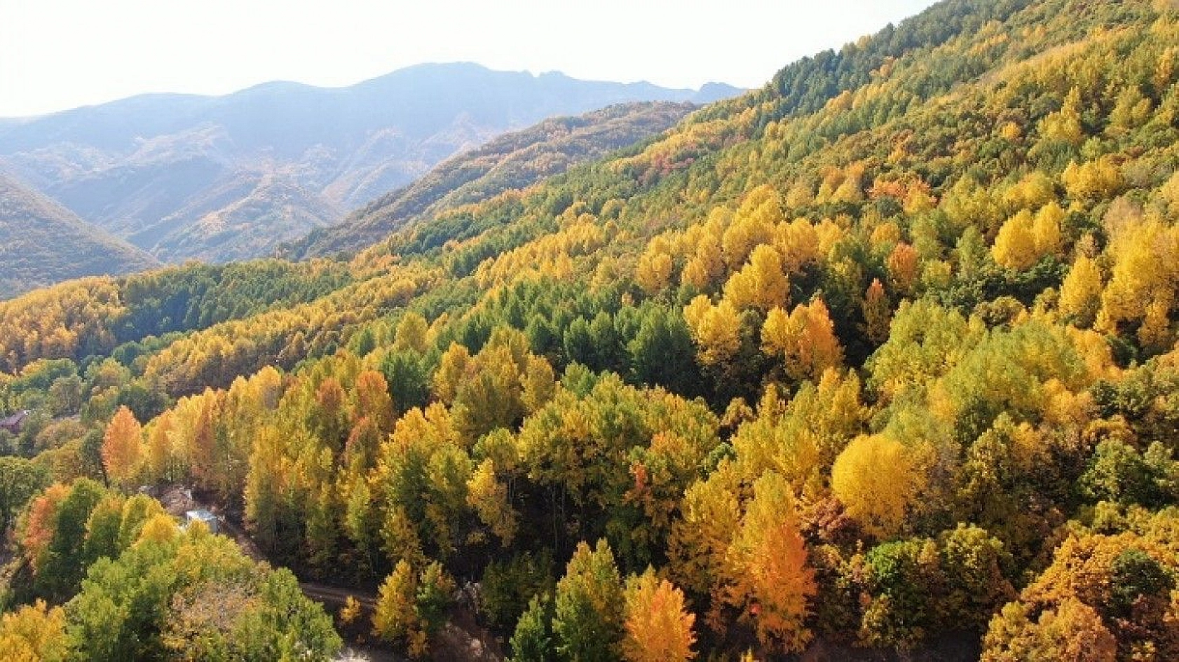 Tunceli sonbaharda görsel şölen sunuyor