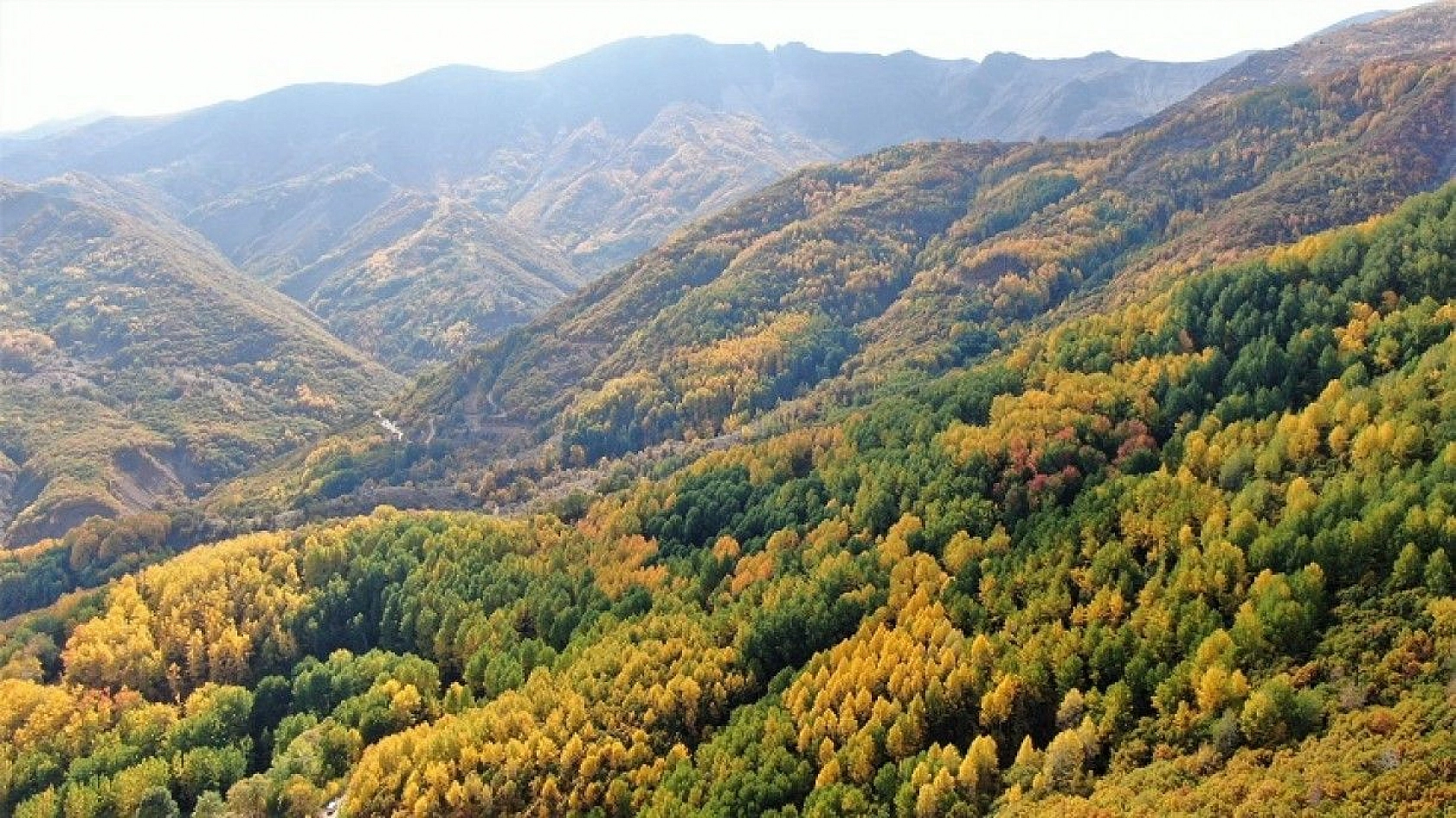 Tunceli sonbaharda görsel şölen sunuyor