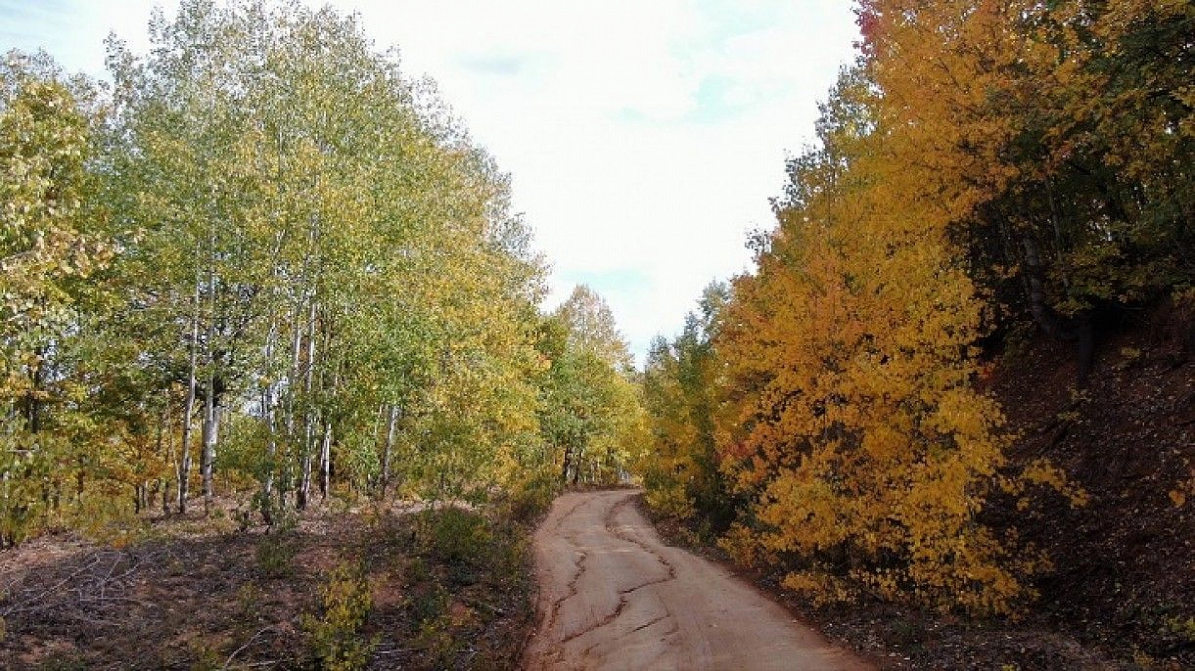 Tunceli sonbaharda görsel şölen sunuyor
