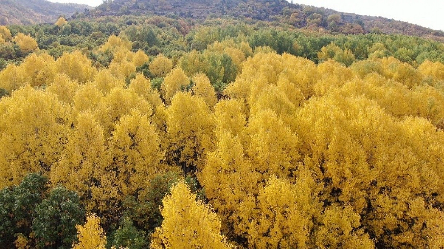 Tunceli sonbaharda görsel şölen sunuyor