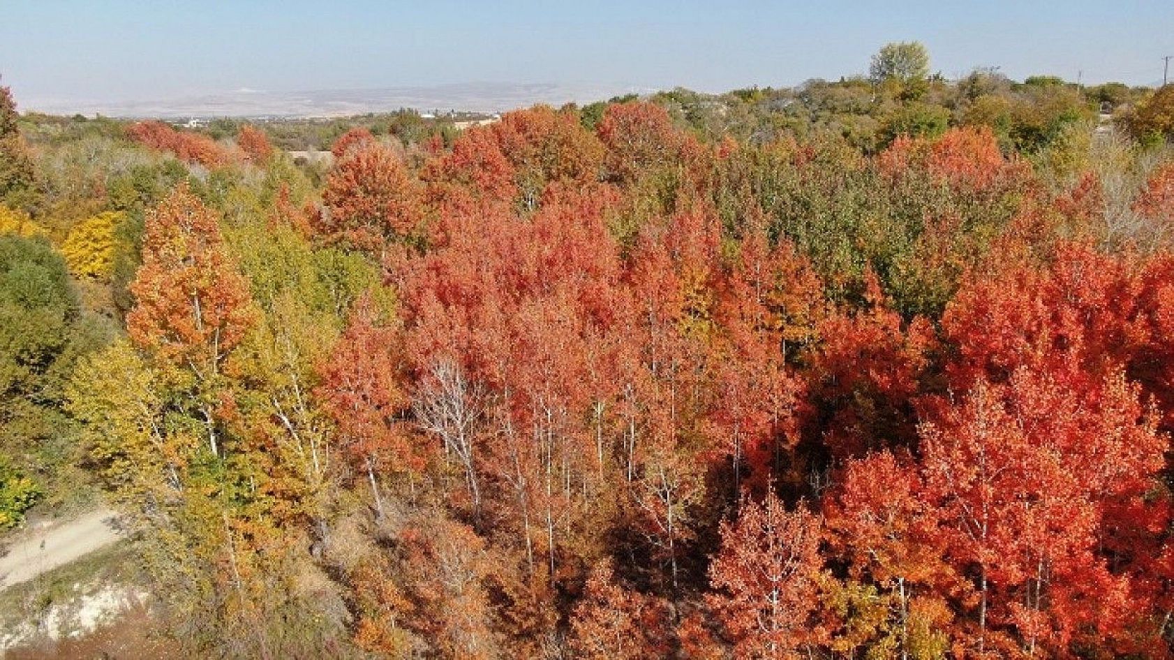 Elazığ'da sonbaharda rengarenk olan ağaçlar havadan görüntülendi