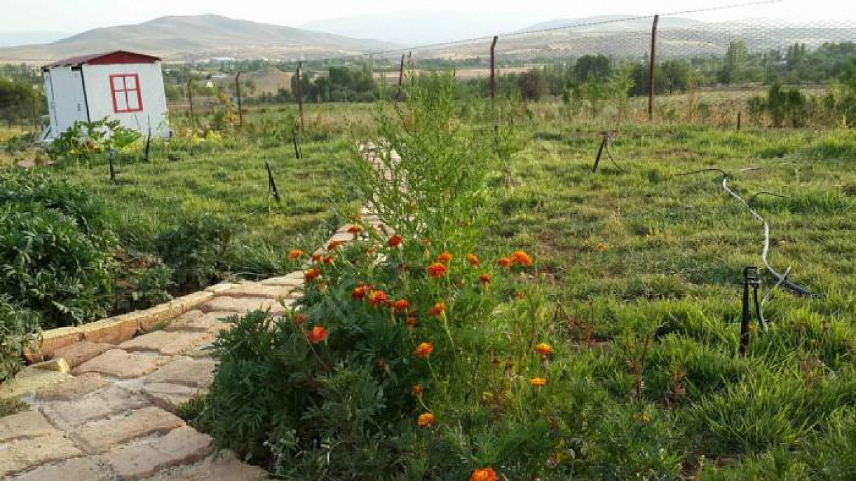Elazığ'ın Saklı Cennetleri: İçme, Örençay, Hedi, Şehsuvar ve Karasaz Köyleri