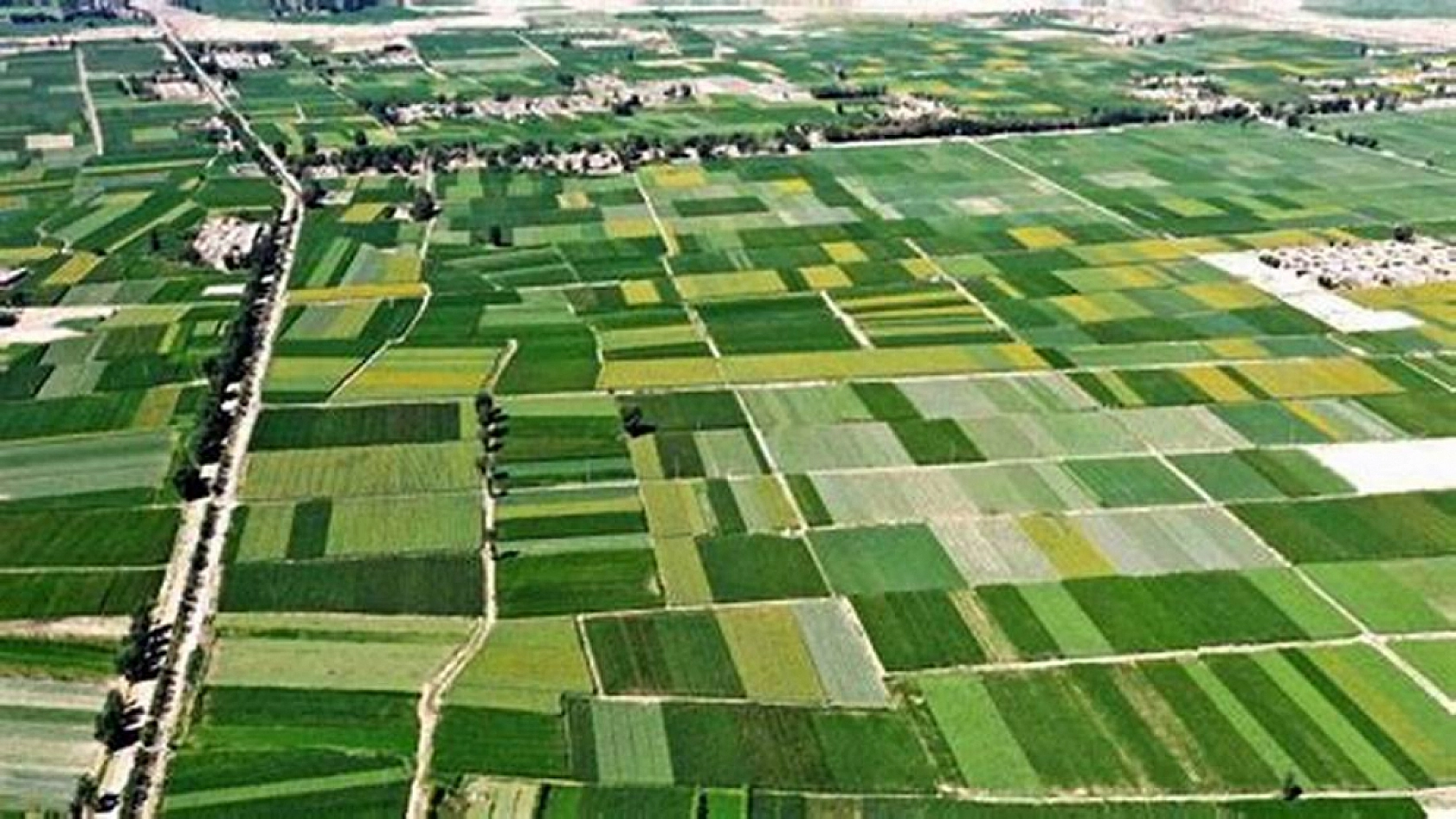 Elazığ'da 45 Bin TL'ye arsa: Milli Emlak'tan dev fırsat