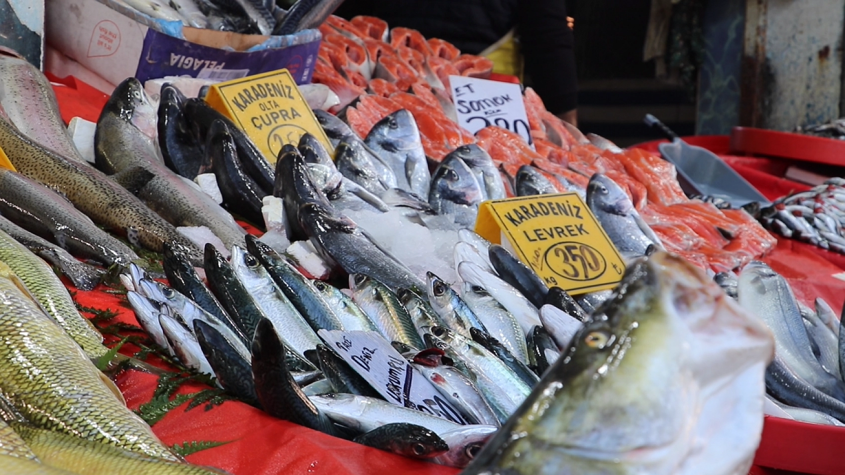 Elazığ'da balıkçılar Ramazan'da beklediğini bulamadı