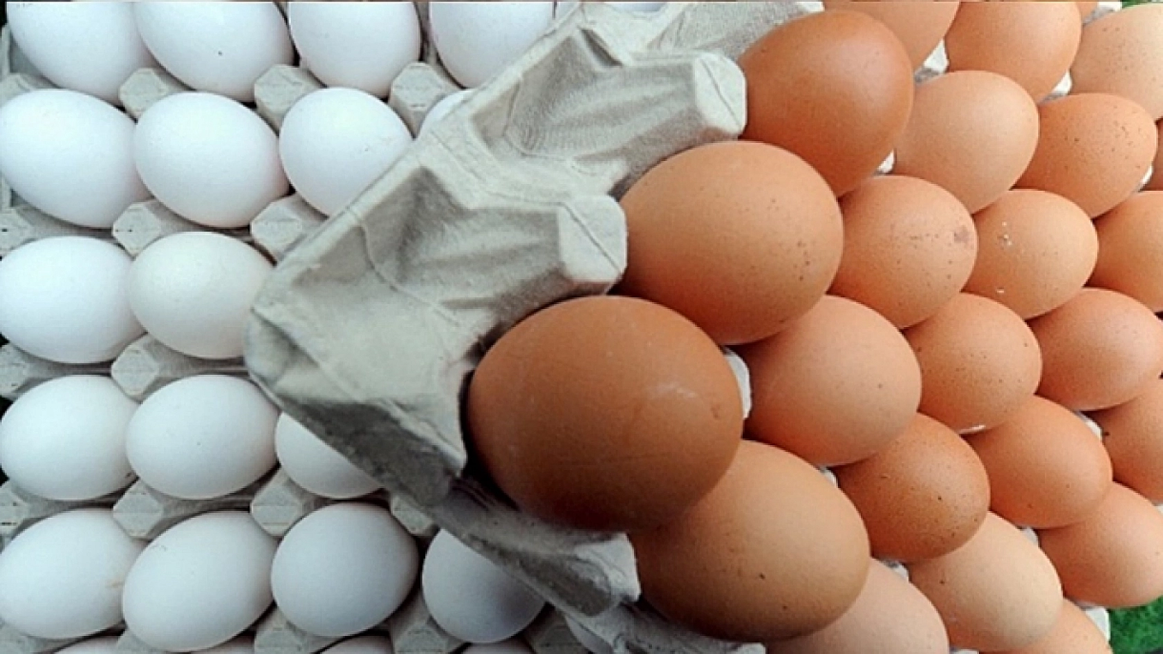 Eylül ayında zam rekoru yumurtanın!