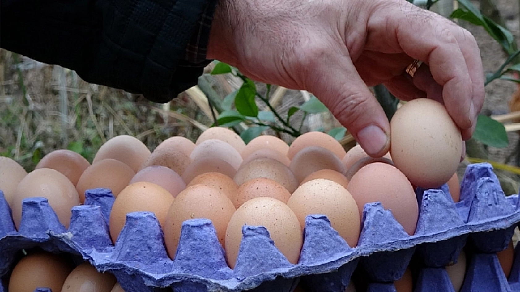 Eylül ayında zam rekoru yumurtanın!