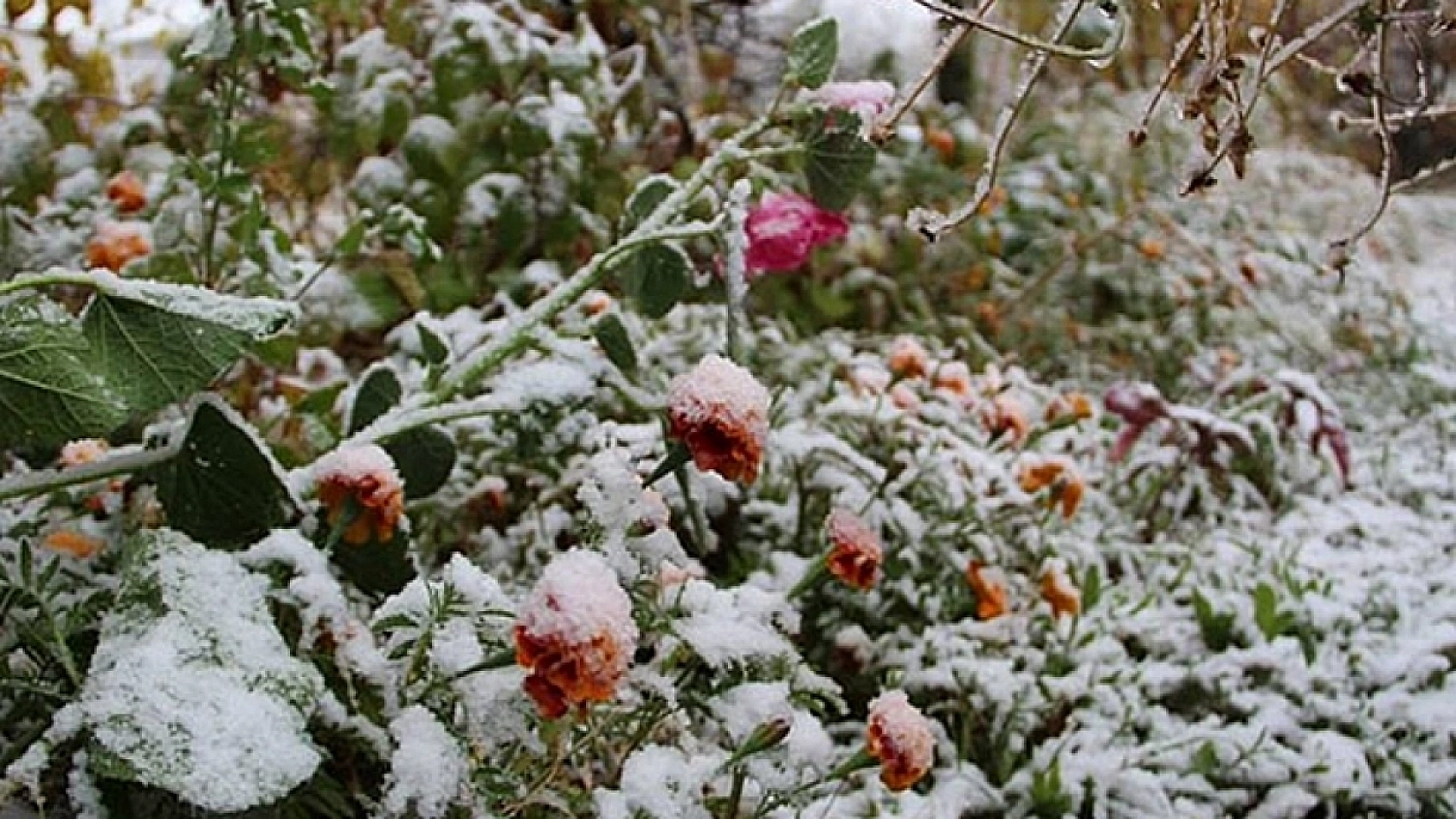 Elazığlılar dikkat! Meteoroloji'den uyarı