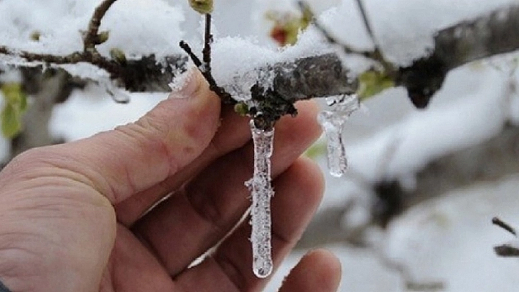 Meteoroloji'den Elazığ'a uyarı geldi!