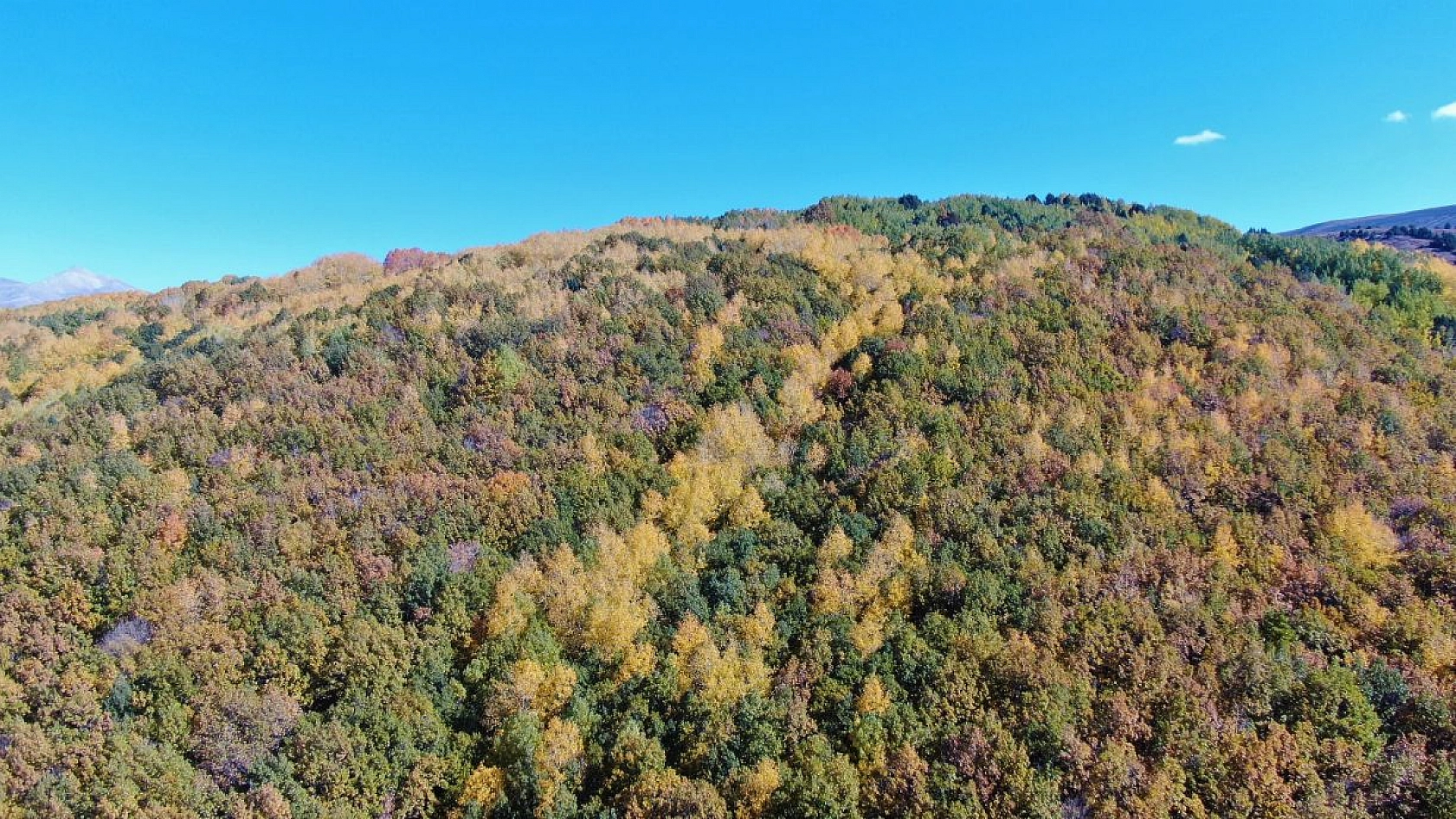 Sonbahar renklerine bürünen Tunceli'de doğa, görsel şölen sunuyor
