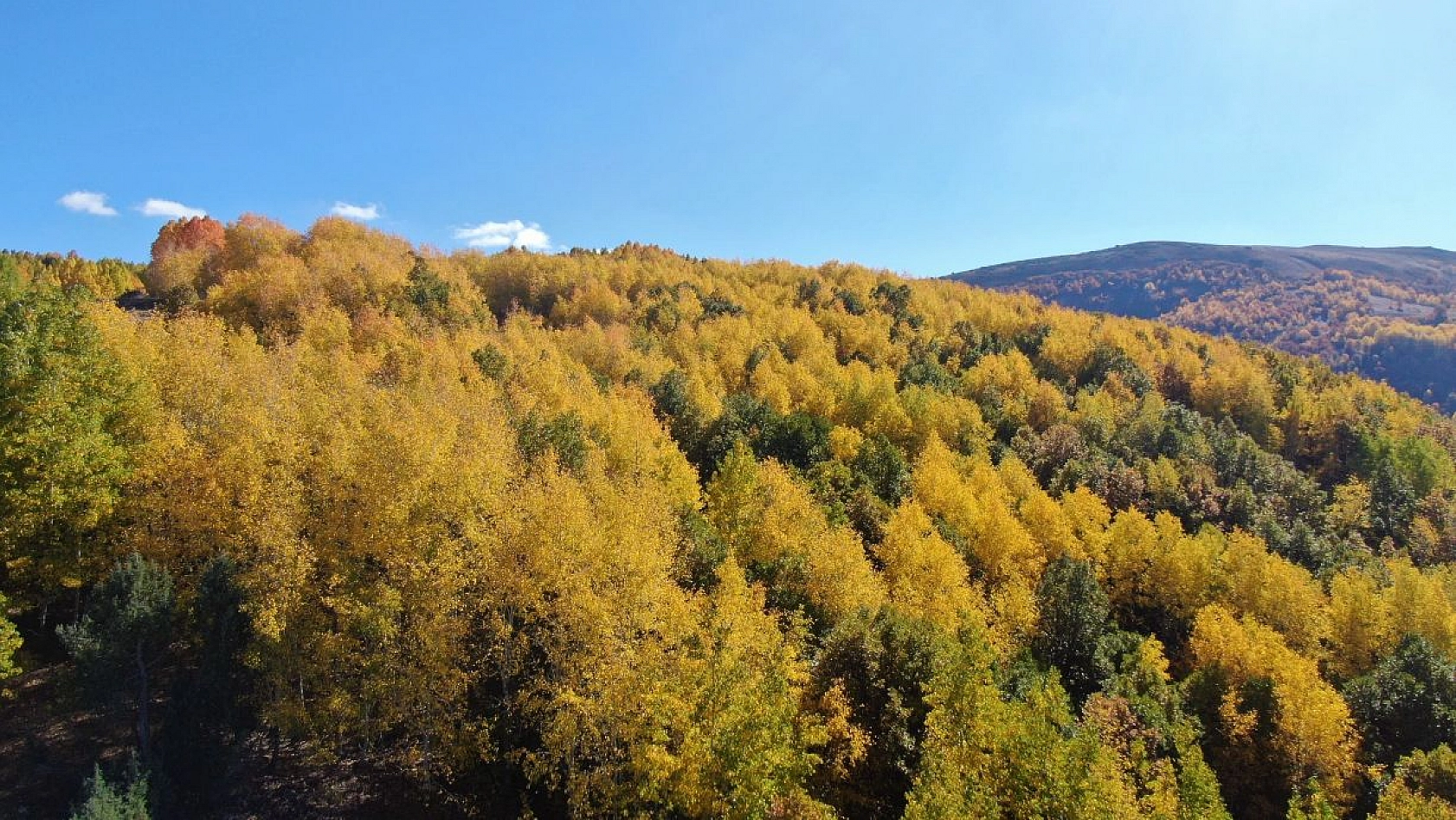 Sonbahar renklerine bürünen Tunceli'de doğa, görsel şölen sunuyor