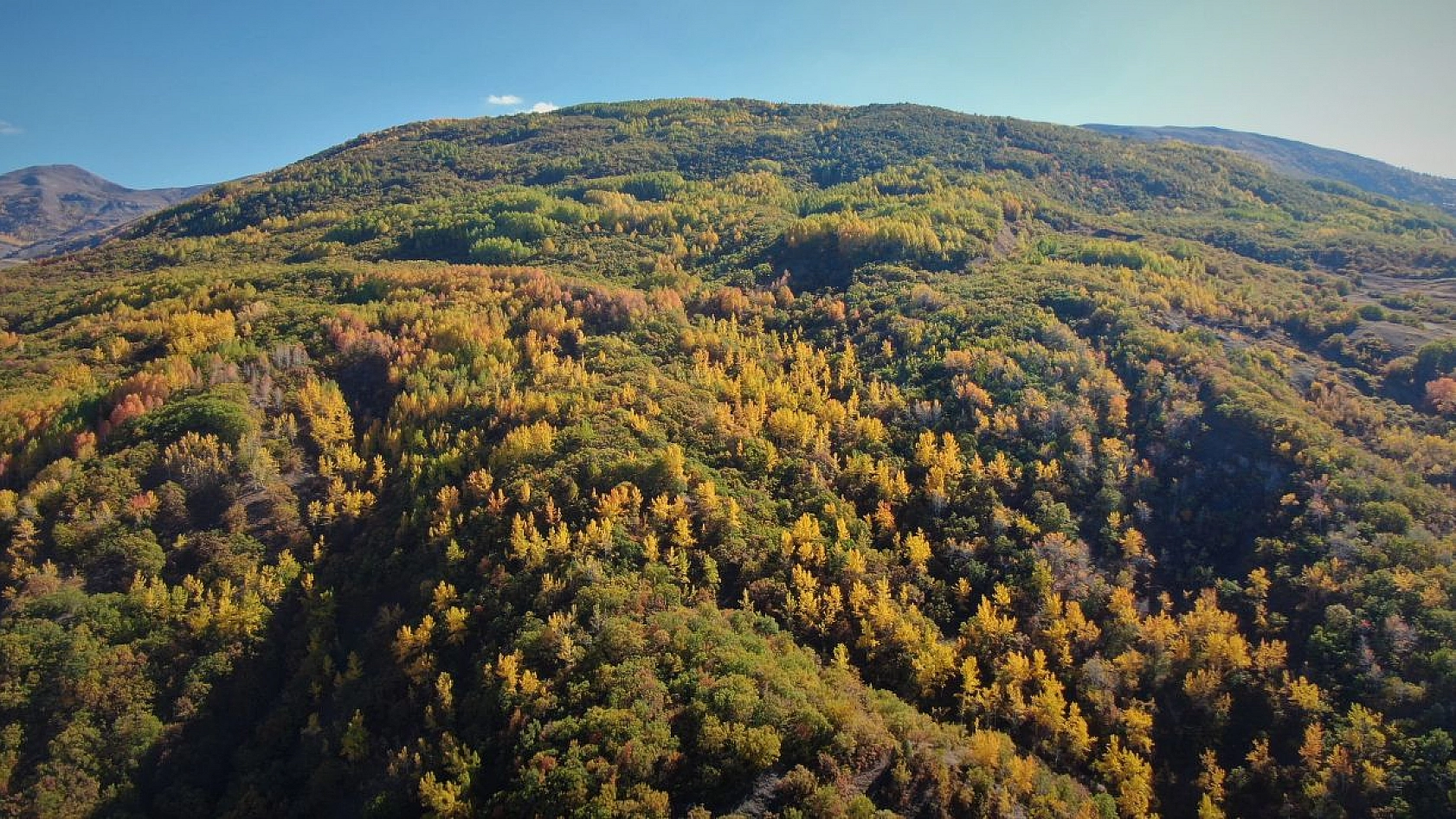Sonbahar renklerine bürünen Tunceli'de doğa, görsel şölen sunuyor