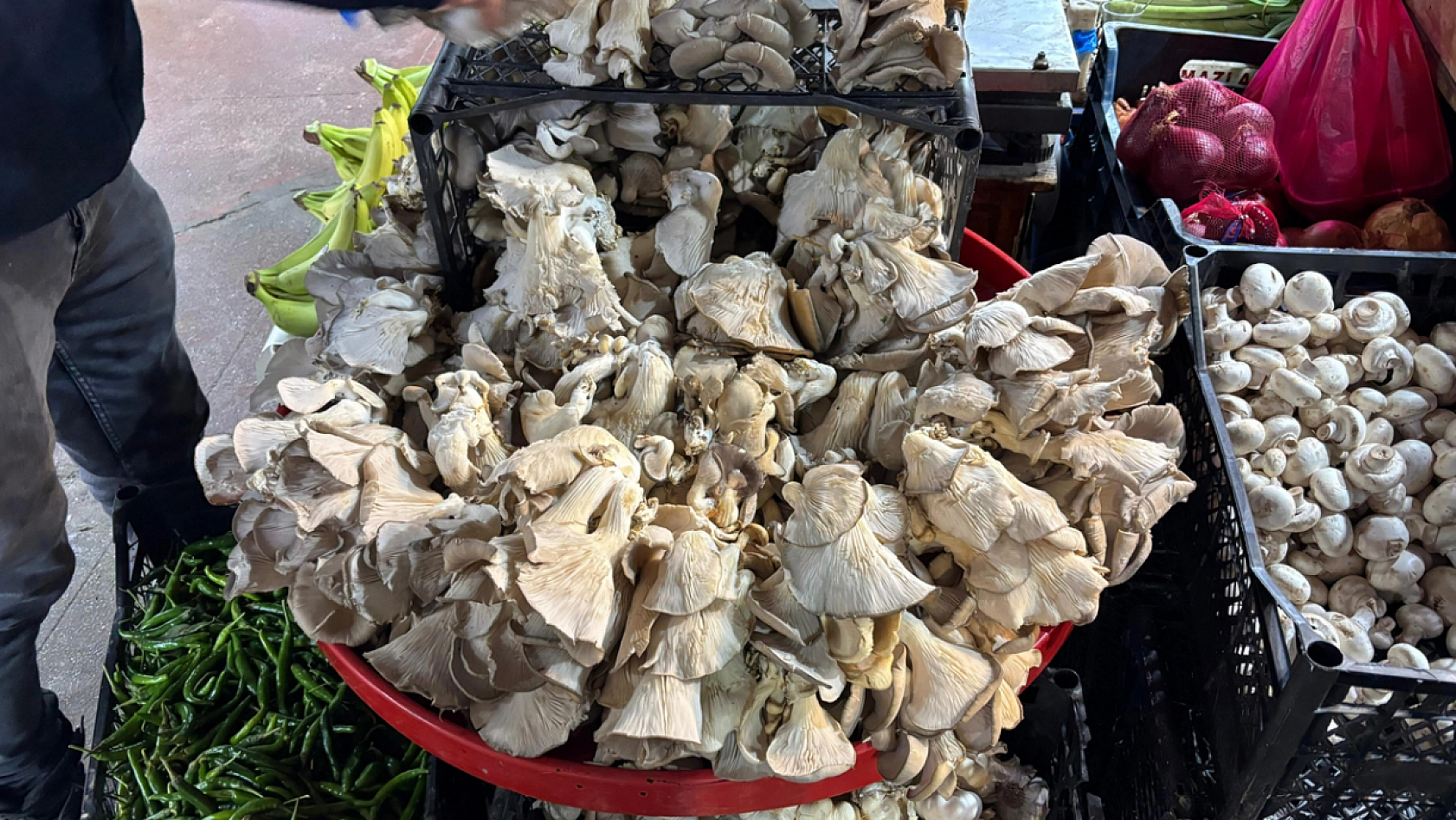 Elazığ'da kışın vazgeçilmez yiyeceği tezgahlardaki yerini aldı