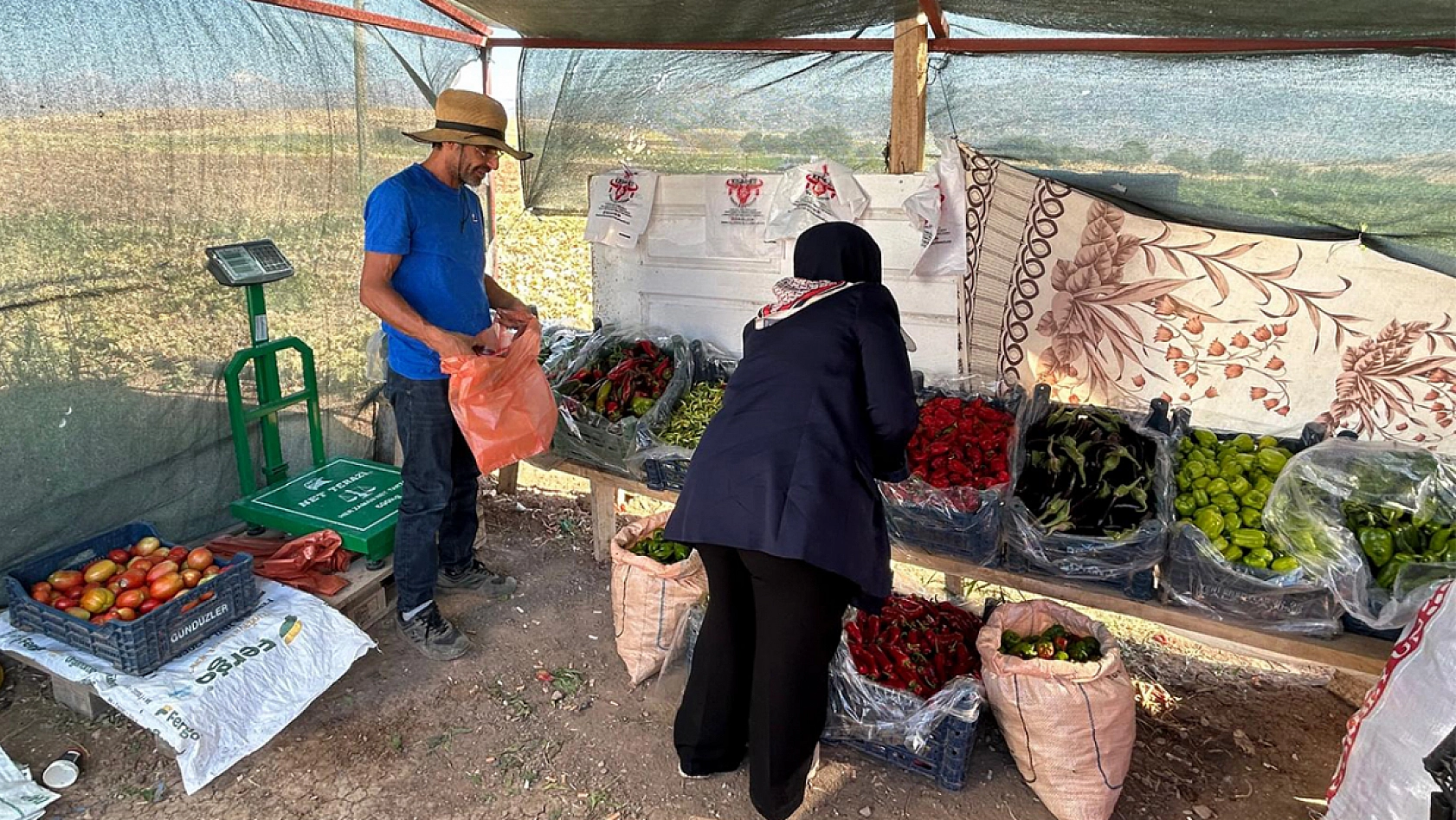 Elazığ'da tarladan sofraya uygun fiyatlı sebze