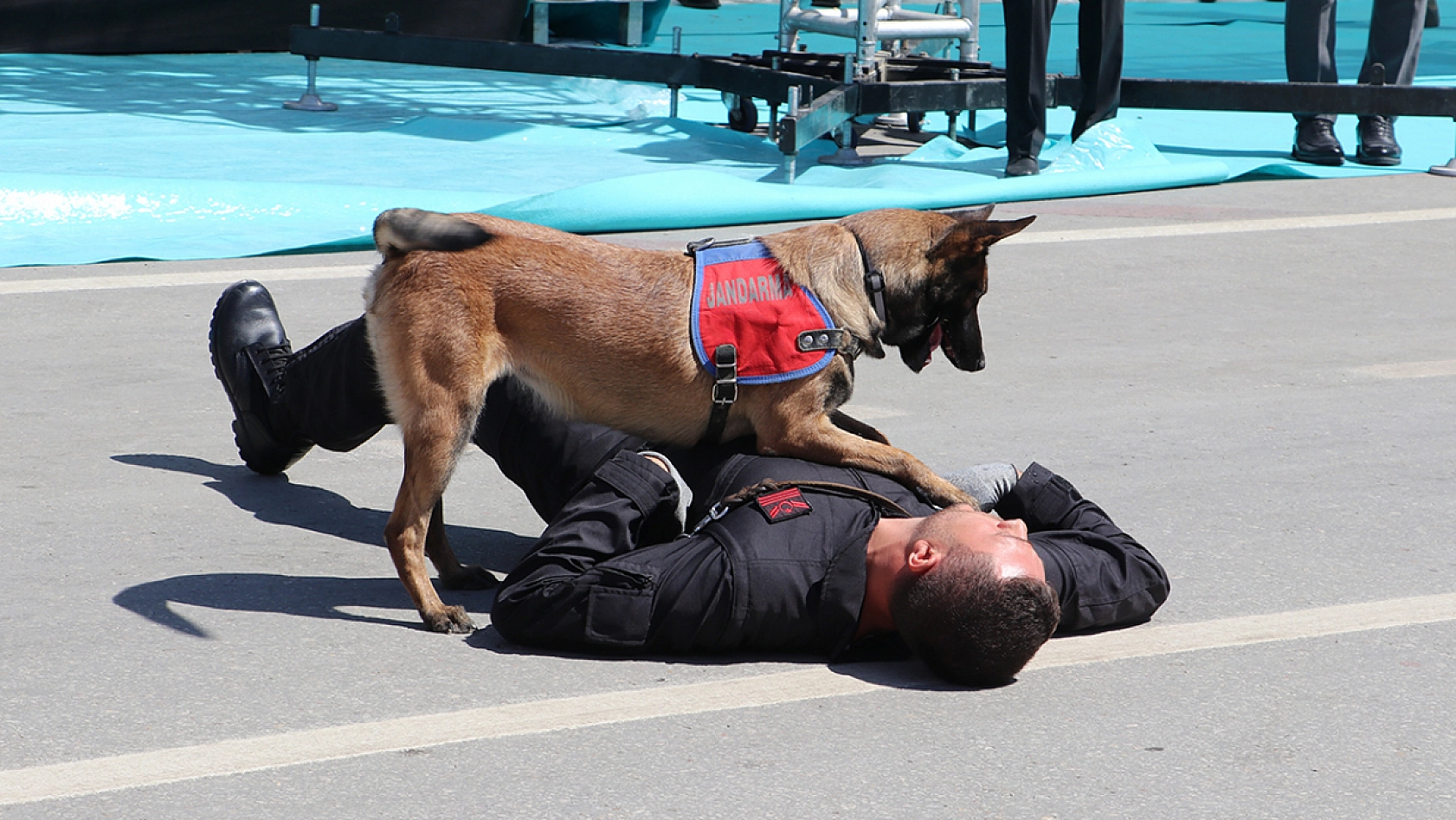 Elazığ'da Zafer Bayramı Coşkusu!