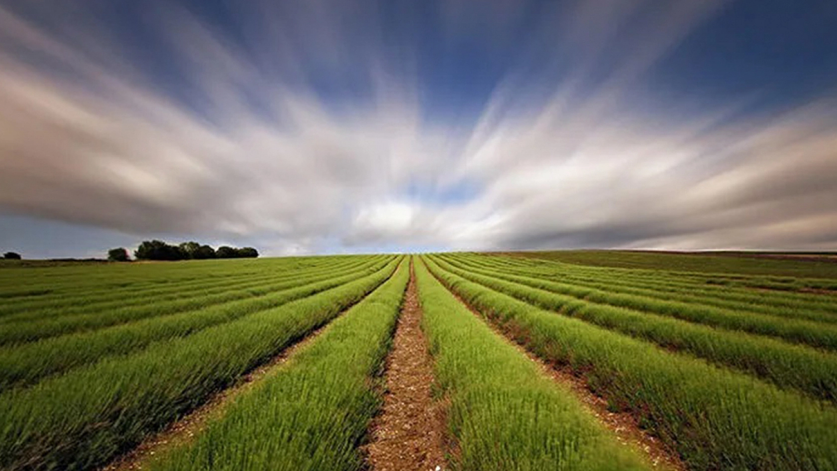 Elazığ'da kullanılmayan arazilere kira geliri fırsatı!