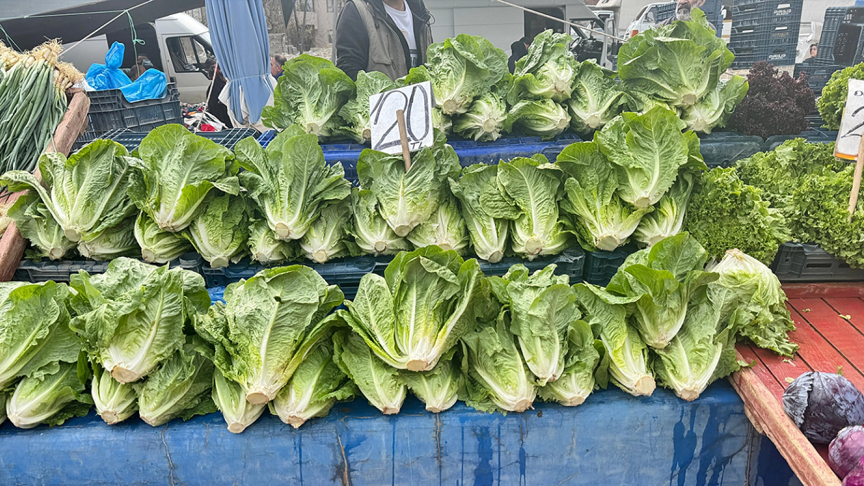 Elazığ'ın en kalabalık semt pazarında tezgahlardaki fiyatlar ne?