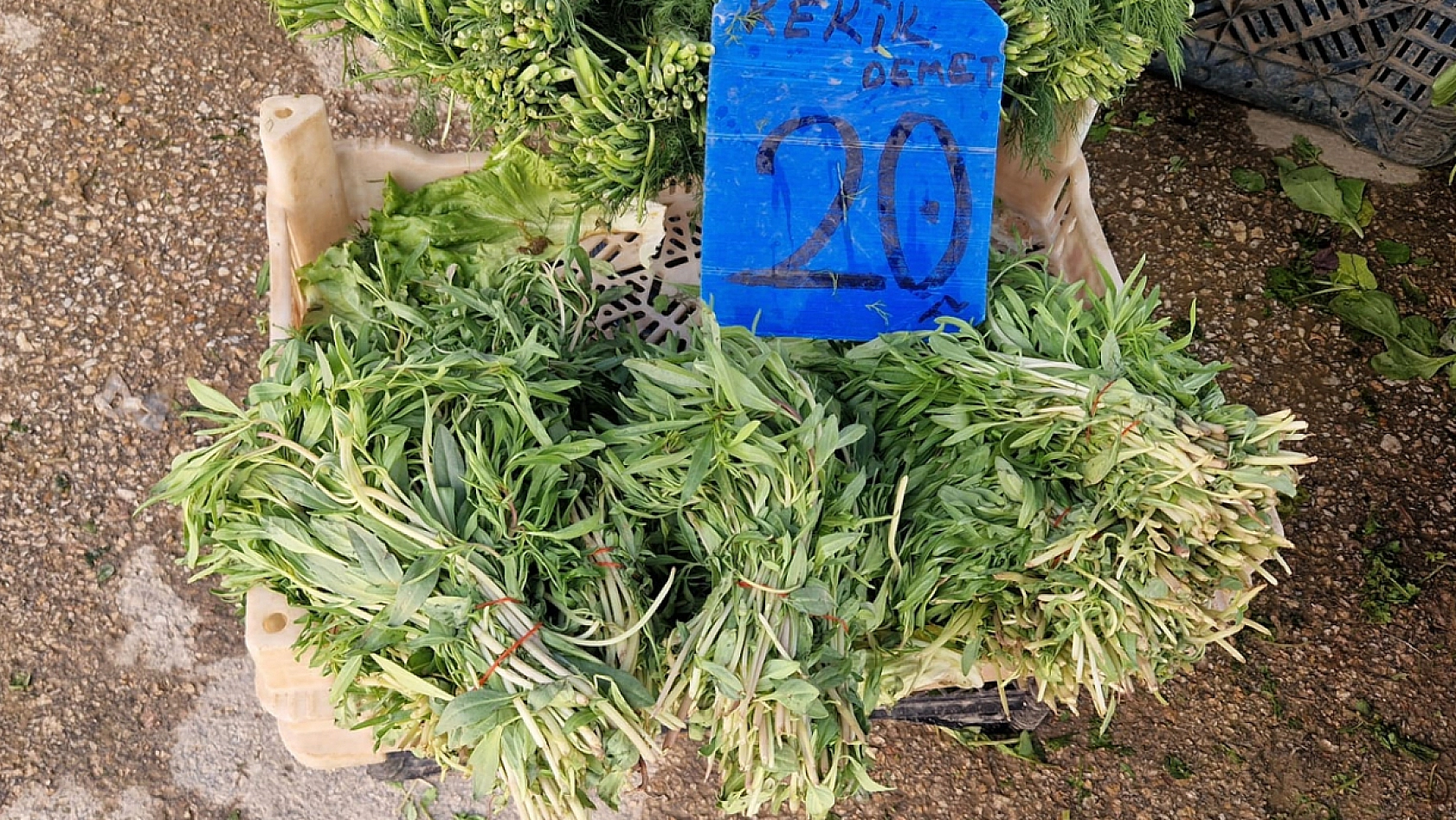 Elazığ'da pazarcılar: 'Yeşillikte verim yüksek, fiyatlar uygun'