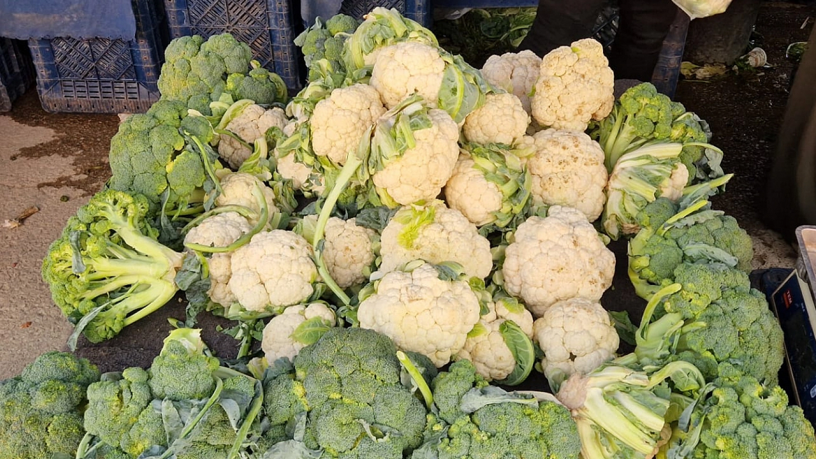 Elazığ'da turşu sezonu başladı: İlk mahsuller tezgahlarda