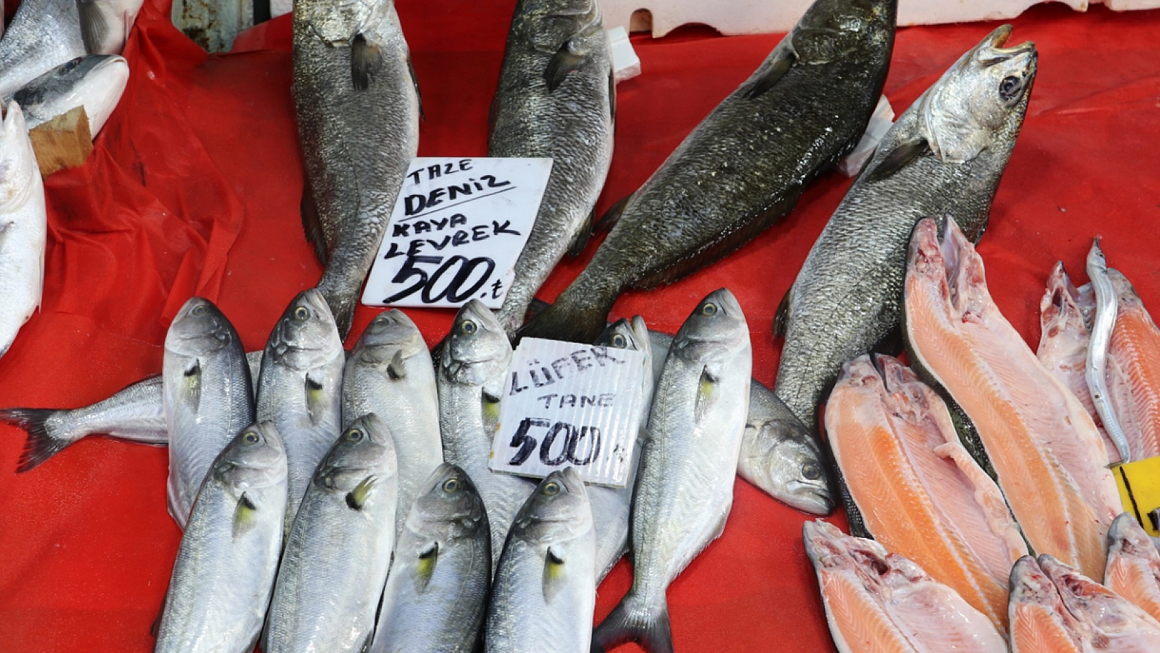 Elazığlı vatandaştan balık fiyatlarına tepki: 'Bunun pulları altından mı'