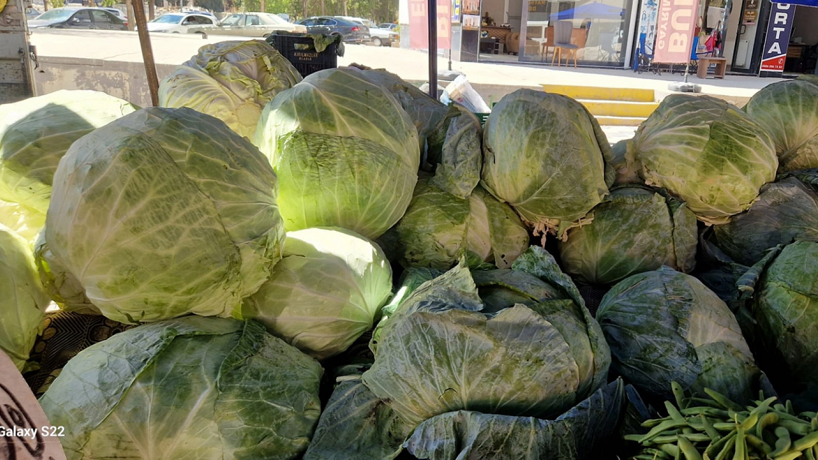 Elazığ'da turşu sezonu başladı: İlk mahsuller tezgahlarda