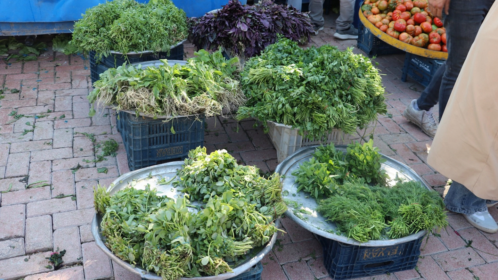 Elazığ'da fiyatları duyan pazara koşuyor