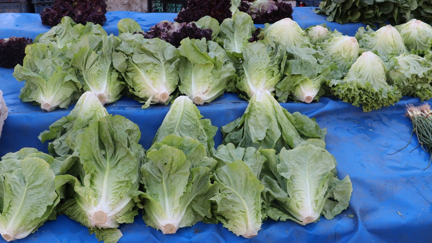 Elazığ'da fiyatları duyan pazara koşuyor