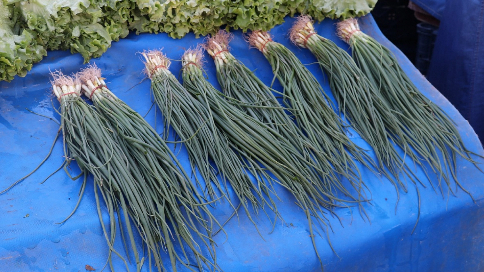 Elazığ'da fiyatları duyan pazara koşuyor