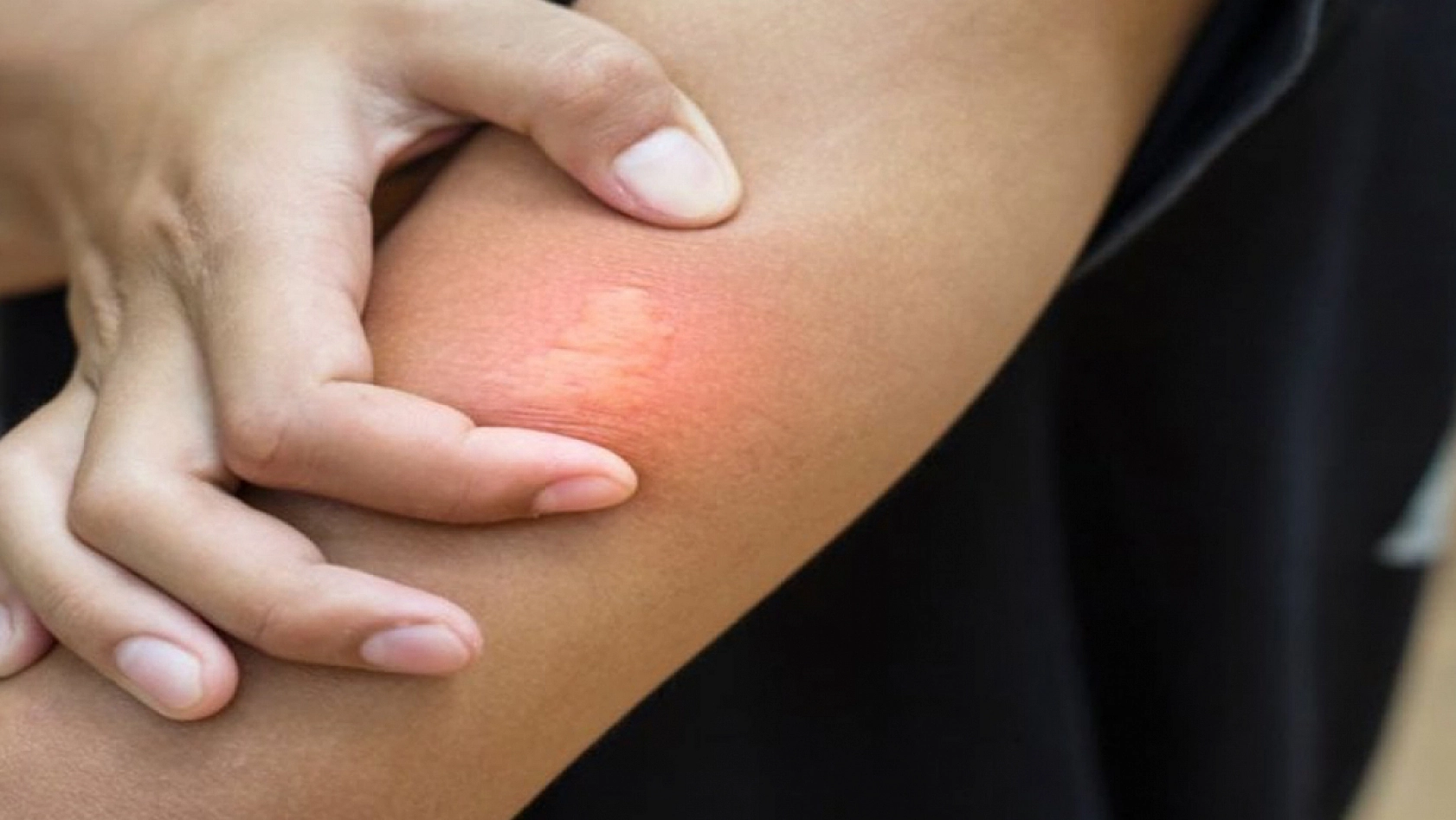 Bu sorular Türkiye'de son günlerin en çok konuşulan konularının başında geliyor