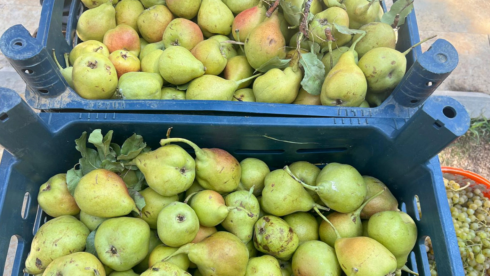 Elazığ'ın bu lezzeti bu fiyata kaçmaz