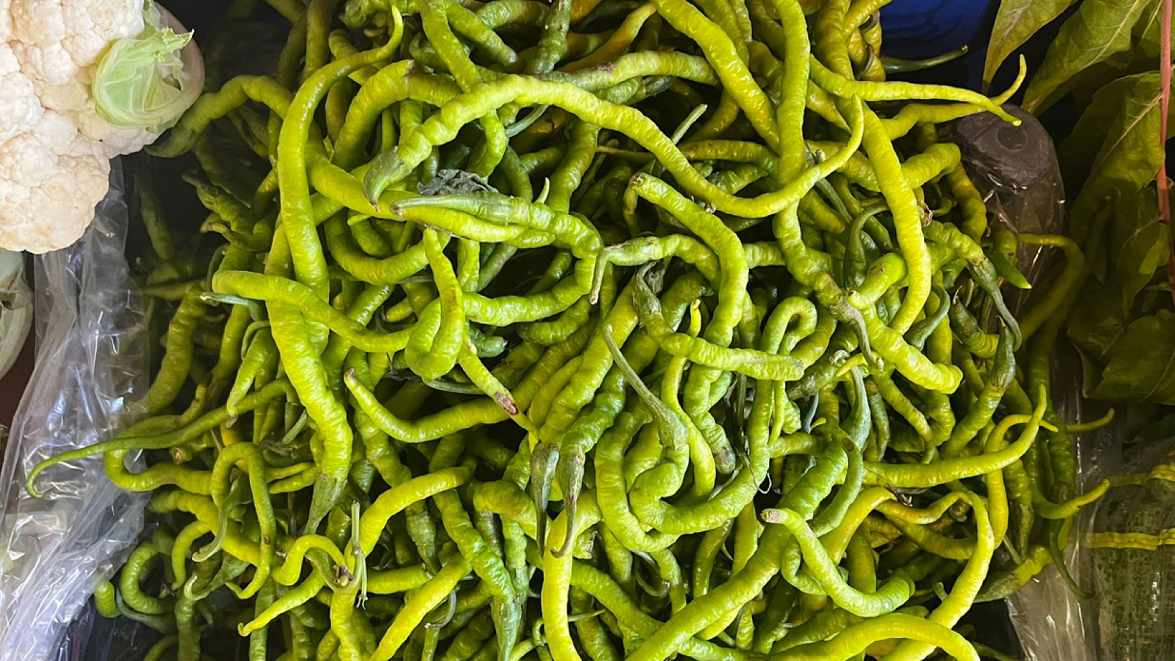 Elazığ'da turşu kurmak ne kadara mâl oluyor?