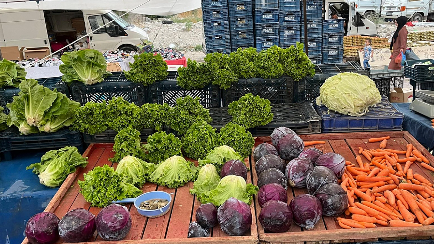Elazığ'da Sezon Sonu Güncel Pazar Fiyatları
