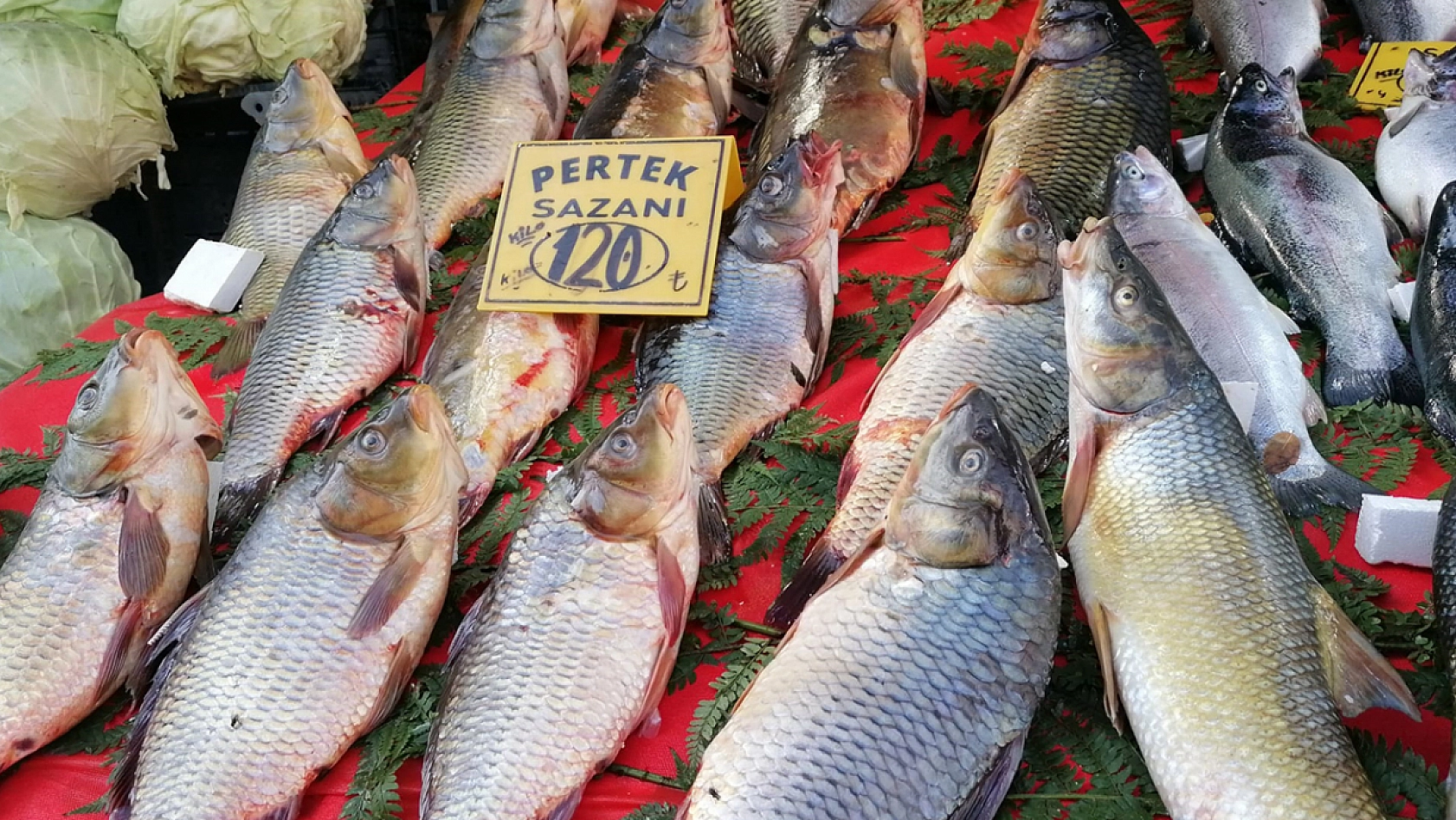 Elazığ'da güncel balık fiyatları
