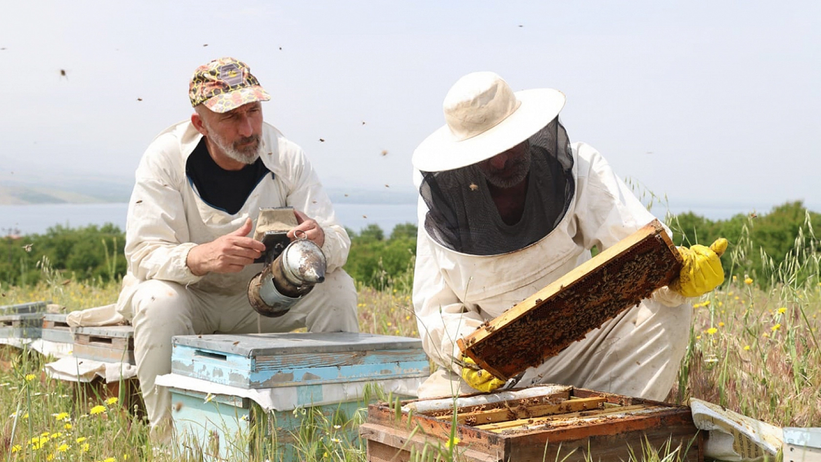 Elazığ'da arıcılar sezonu kapattı