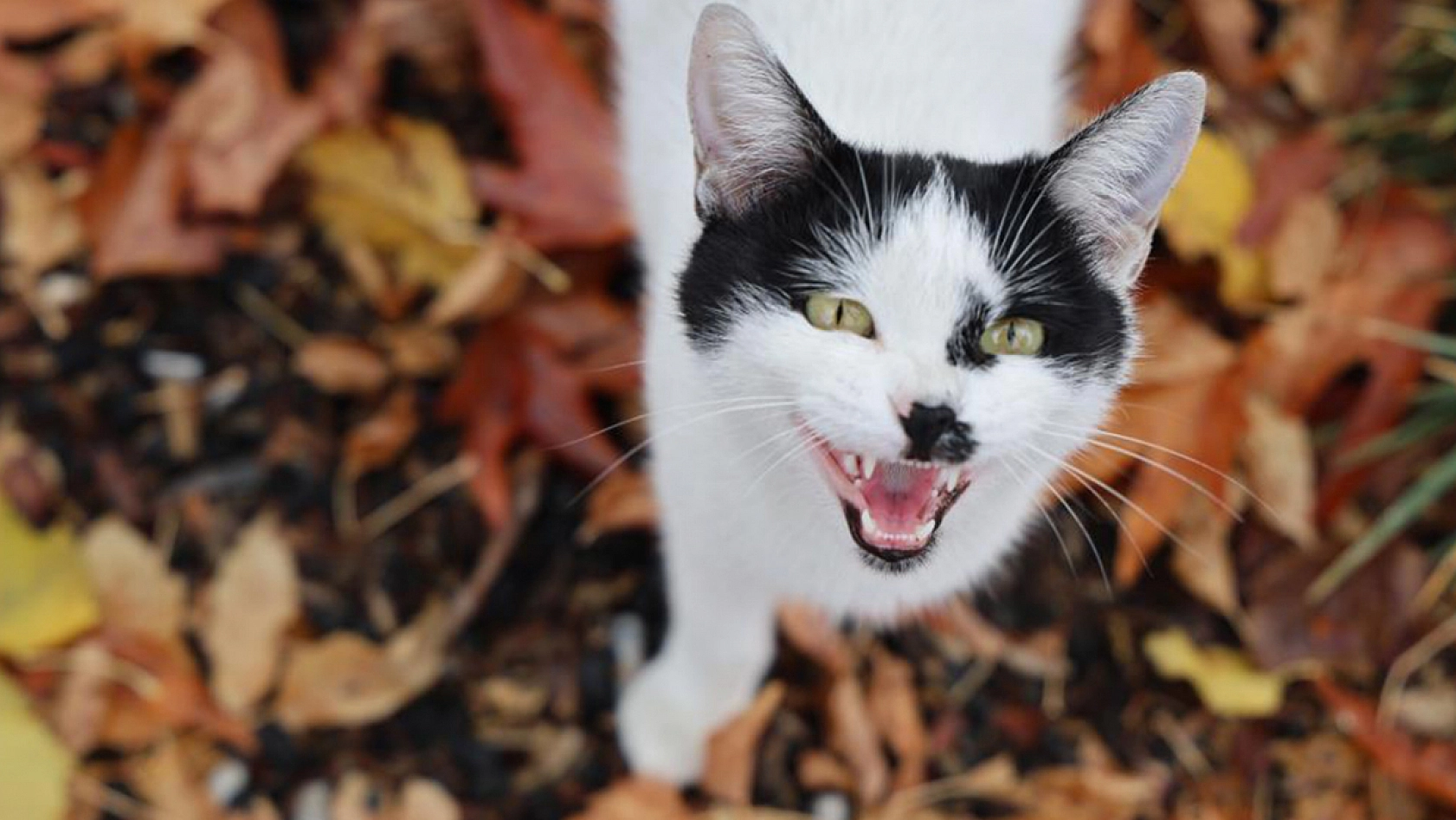 Harput'un gülen yüzleri kameralara yansıdı