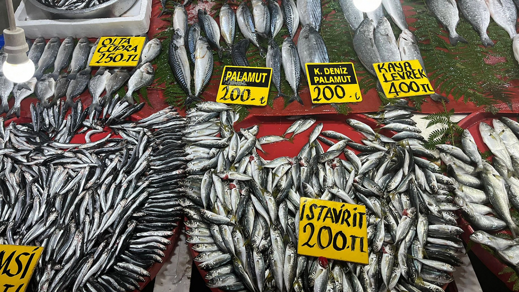 Elazığlıların vazgeçilmez balığı cep yakıyor