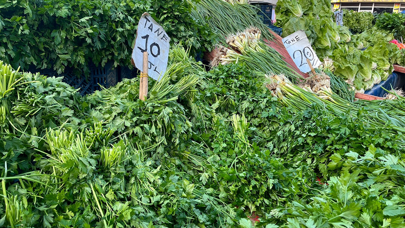 Soğuk hava pazarlardaki fiyatları etkiledi mi? Elazığ'da güncel pazar fiyatları ne durumda?
